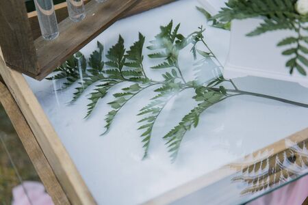 decor of arches and chairs for wedding ceremonyの写真素材