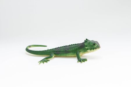 green toy lizard on white backgroundの写真素材