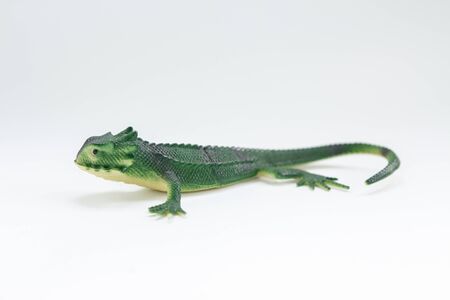green toy lizard on white backgroundの写真素材