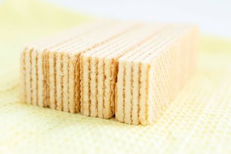 wafer with a white layer on white backgroundの写真素材
