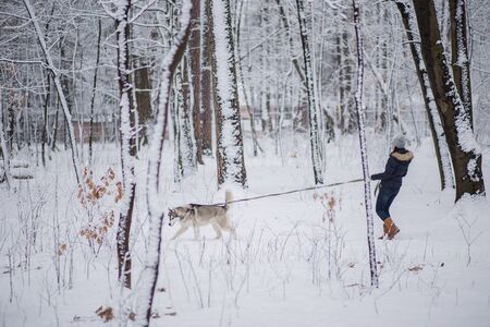 woman with husky dog in winter in snowの写真素材
