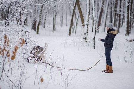 woman with husky dog in winter in snowの写真素材