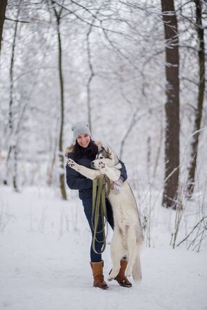 woman with husky dog in winter in snowの写真素材