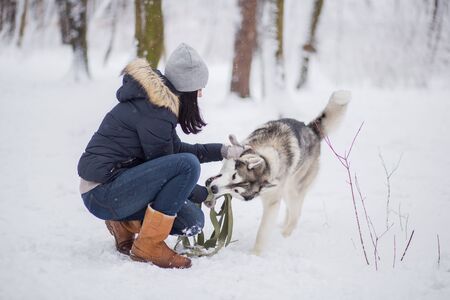 woman with husky dog in winter in snowの写真素材