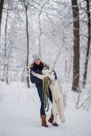 woman with husky dog in winter in snowの写真素材