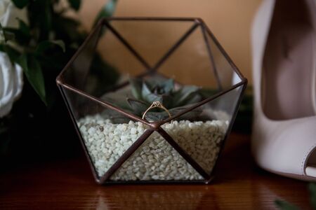 wedding rings in transparent boxの写真素材
