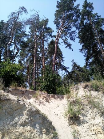 a river bank with cliff and treesの写真素材
