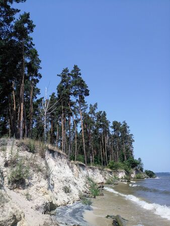 a river bank with cliff and treesの写真素材