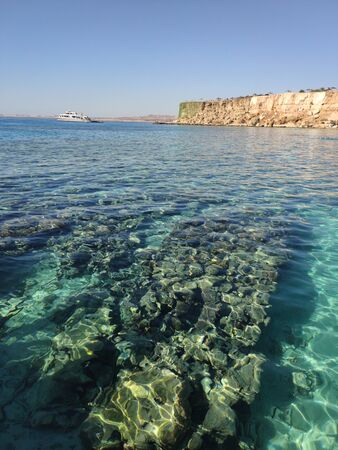 a clear sea water of the red seaの写真素材