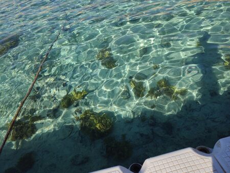 a clear sea water of the red seaの写真素材