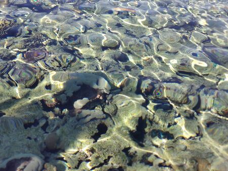 a clear sea water and corral under waterの写真素材