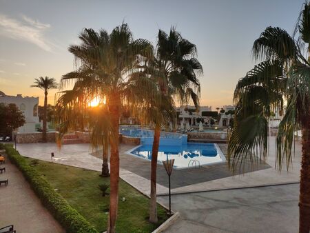 sunset sea through palm trees and buildingsの写真素材