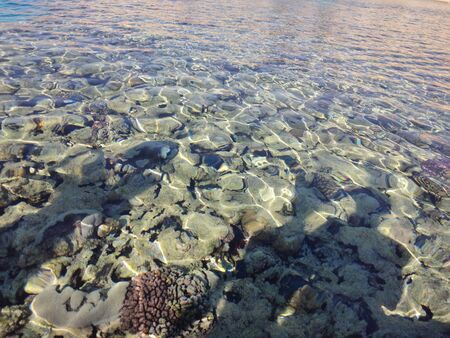 a clear sea water and corral under waterの写真素材
