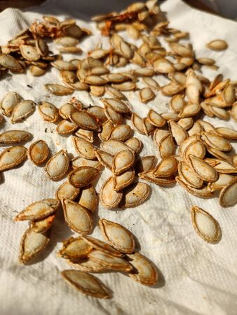 a pumpkin seeds are dried on paperの写真素材
