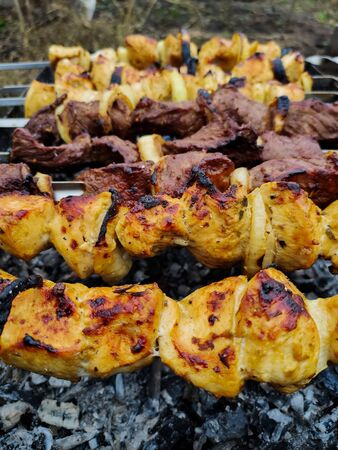 meat on a skewer on the grill on picnicの写真素材