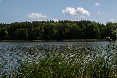 a big lake in the forest with clear skyの写真素材