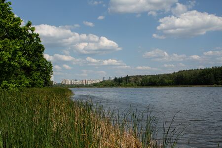 large lake in the forest against of the cityの写真素材