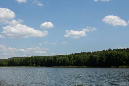 a big lake in the forest with clear skyの写真素材