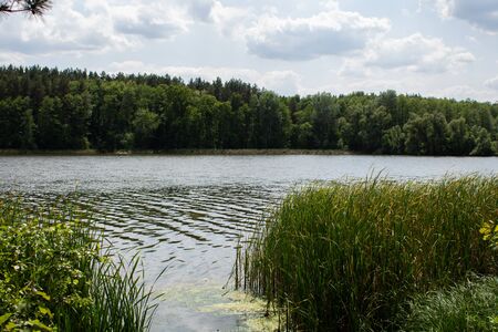 large lake in forest with clear sky and leavesの写真素材