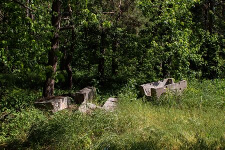pieces of concrete lie in forest in summerの写真素材