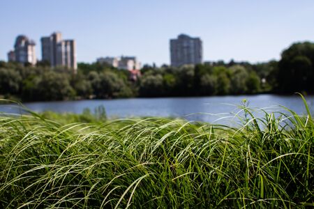 a big lake in the park against of the cityの写真素材