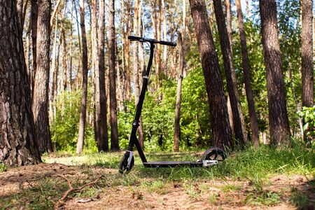 an adult scooter in a pine forestの写真素材