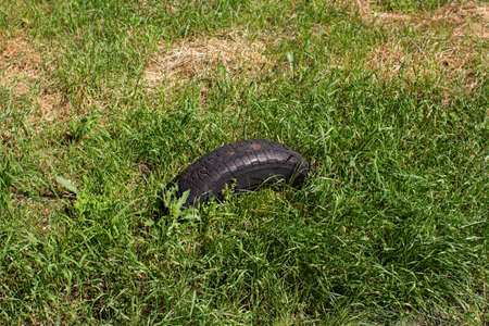 tires from cars lying in forestのeditorial素材