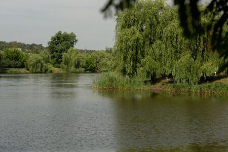 beautiful view of forest and lakeの写真素材