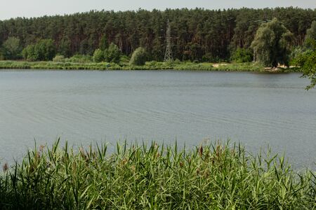 beautiful view of forest and lakeの写真素材