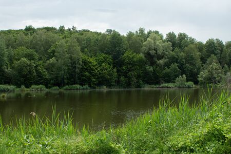 a big lake in the green forestの写真素材