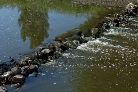 a small river among bushes and treesの写真素材