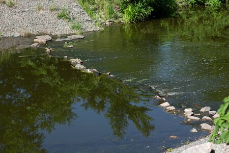 a small river among bushes and trees