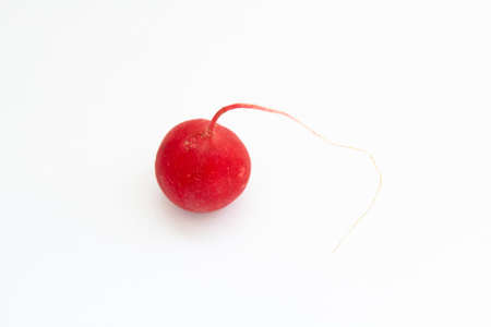ripe radish on white backgroundの写真素材