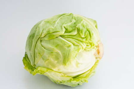 young cabbage on white backgroundの写真素材
