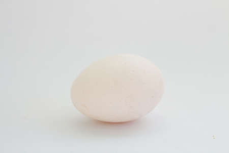 eggs in a tray on white backgroundの写真素材