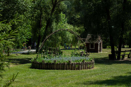 beautiful flowerbed in summer parkの写真素材