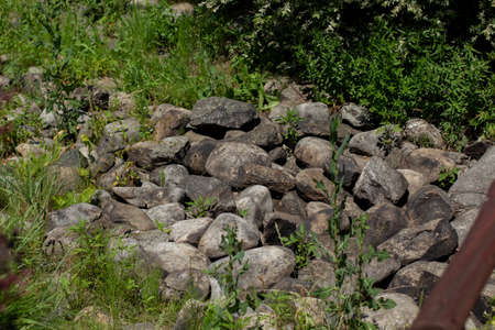 paved stones in landscaped gardenの写真素材