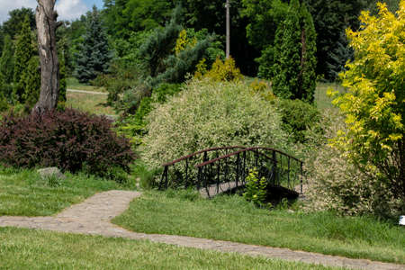 small decorative bridge in parkの写真素材