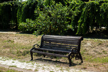 wooden bench in large gardenの写真素材