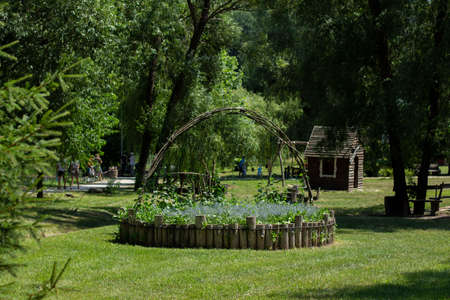 beautiful flowerbed in summer parkの写真素材