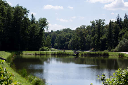 landscape with lake in the parkの写真素材