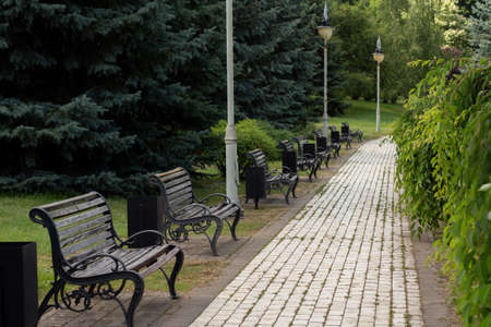 a wooden bench in the summer parkの写真素材
