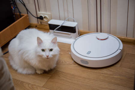 a cat and robot vacuum cleaner in the roomの写真素材
