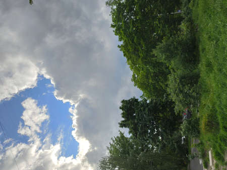 green park in city in summer
