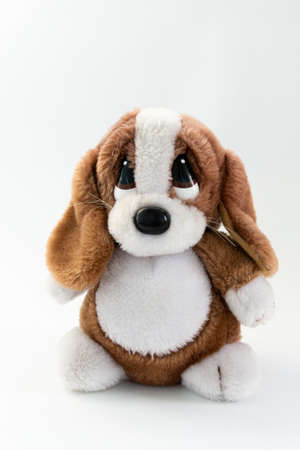 plush dog on white backgroundの写真素材
