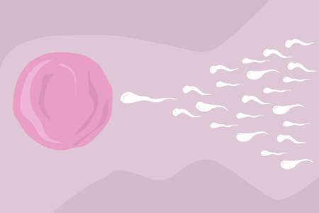 a sperm swim to the eggのイラスト素材