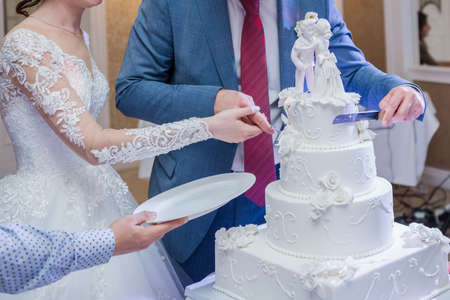 the groom and the bride cut wedding cake