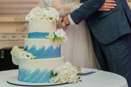 the groom and the bride cut wedding cakeの写真素材