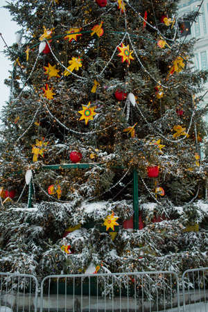 a christmas tree outside at christmasの写真素材
