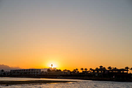 sunset on the sea with palm trees in eveningの写真素材
